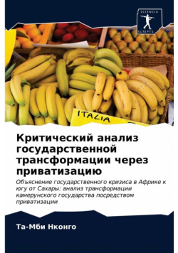 Критический анализ государственной трансформации через приватизацию