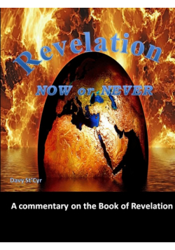 Revelation Now Or Never