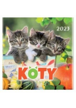Kalendarz 2023 Wieloplanszowy Koty ARTSEZON