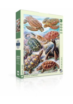 Puzzle 1000 Żółwie