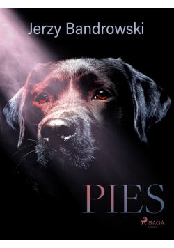 Pies