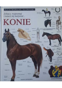 Ilustrowane słowniki Konie