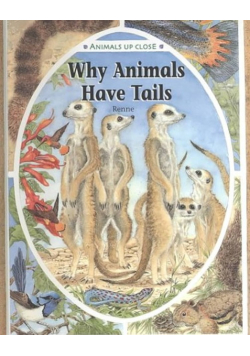 Renne - Why Animals Have Tails