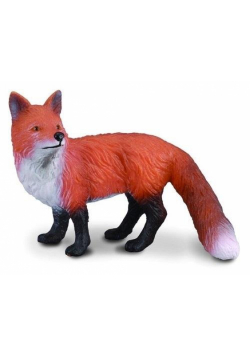 Lis pospolity