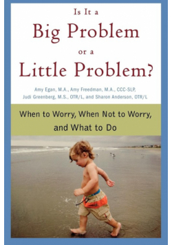 Is It a Big Problem or a Little Problem?