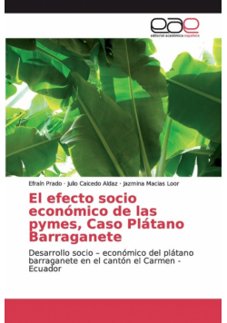 El efecto socio económico de las pymes, Caso Plátano Barraganete