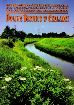 Dolina Brynicy w Czeladzi