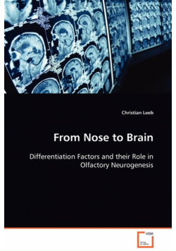 From Nose to Brain