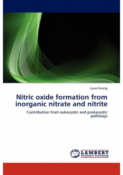 Nitric oxide formation from inorganic nitrate and nitrite
