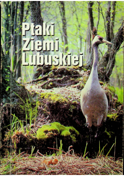 Ptaki Ziemi Lubuskiej Monografia faunistyczna