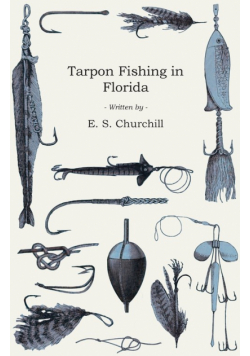 Tarpon Fishing in Florida