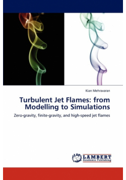 Turbulent Jet Flames
