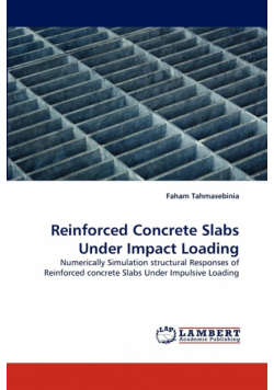 Reinforced Concrete Slabs Under Impact Loading