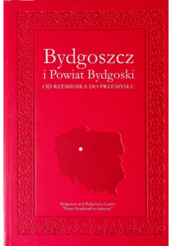 Bydgoszcz i Powiat Bydgoski od rzemiosła do przemysłu