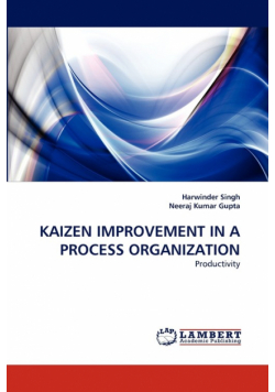 Kaizen Improvement in a Process Organization