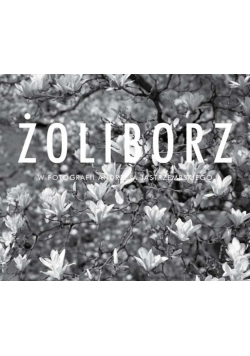 Żoliborz w fotografii Andrzeja Jastrzembskiego