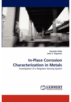 In-Place Corrosion Characterization in Metals