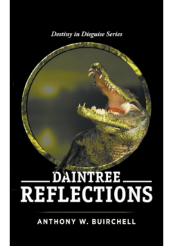 Daintree Reflections