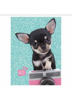 Pamiętnik Studio Pets PTE-3660 PASO