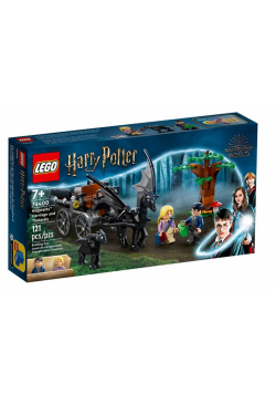 LEGO(R) HARRY POTTER Testrale i kareta z Hogwartu