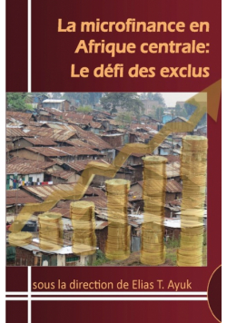 La microfinance en Afrique centrale