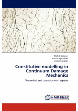 Constitutive Modelling in Continuum Damage Mechanics
