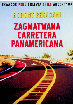 Zagmatwana Carretera Panamericana