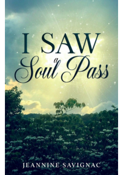I Saw A Soul Pass