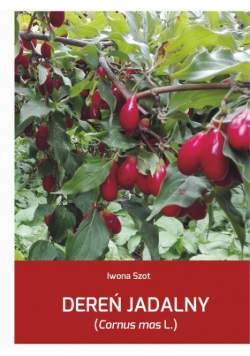 Dereń jadalny (Cornus mas L.)