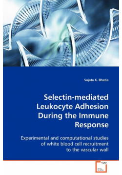 Selectin-mediated Leukocyte Adhesion During the Immune Response