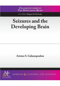 Seizures and the Developing Brain
