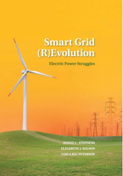 Smart Grid (R)Evolution