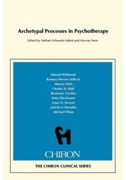 Archetypal Processes in Psychotherapy  (Chiron Clinical Series)