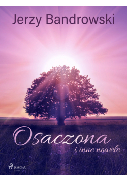 Osaczona i inne nowele