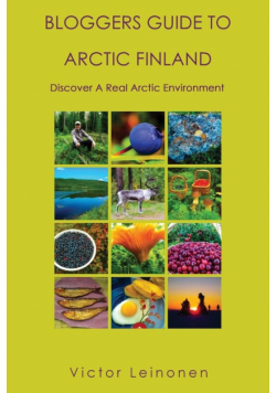 Bloggers Guide To Arctic Finland