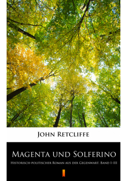 Magenta und Solferino. Historisch-politischer Roman aus der Gegenwart. Band I–III