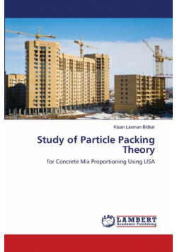 Study of Particle Packing Theory
