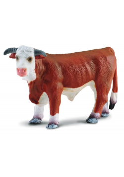 Byk hereford