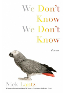 We Don't Know We Don't Know