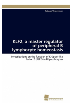 KLF2, a master regulator of peripheral B lymphocyte homeostasis