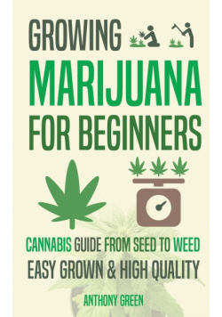 Growing Marijuana for Beginners