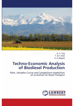 Techno-Economic Analysis of Biodiesel Production