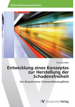 Entwicklung eines Konzeptes zur Herstellung der Schadensfreiheit
