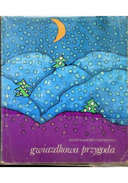 Gwiazdkowa przygoda