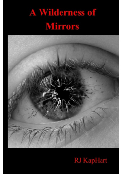 A Wilderness of Mirrors