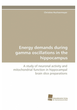Energy demands during gamma oscillations in the hippocampus