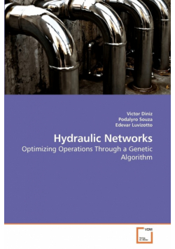 Hydraulic Networks