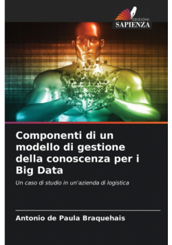 Componenti di un modello di gestione della conoscenza per i Big Data
