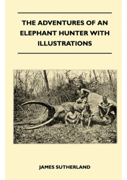 The Adventures Of An Elephant Hunter With Illustrations