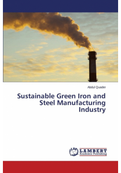 Sustainable Green Iron and Steel Manufacturing Industry